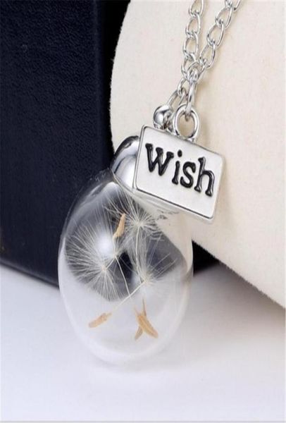 

wholedoreenbeadsh bottle necklace real natural dandelion seeds water drop bottle botanical pendant long necklace a wish woman5273209, Silver