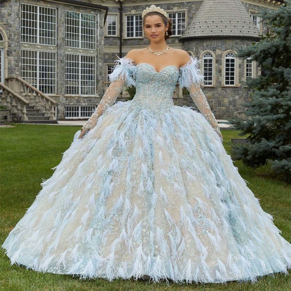 

luxury sweetheart quinceanera dresses feather beads long sleeved lace-up graduation dress sweet 16 gown vestidos de 15 anos, Blue;red