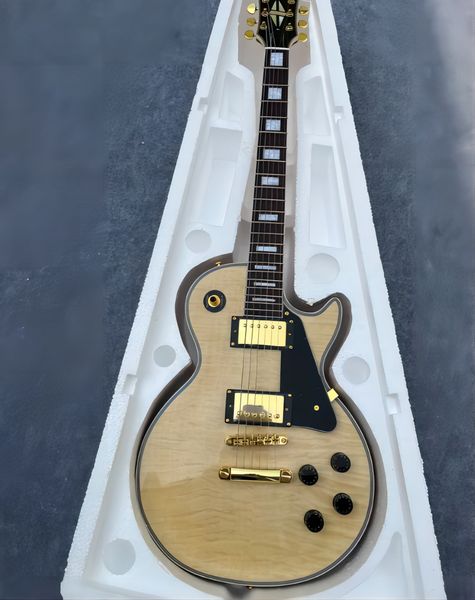 

electric guitar with paul, finish, fast transport, standard