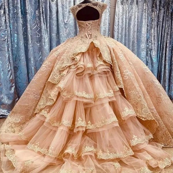 

gorgeous blush lace quinceanera dresses formal applique lace birthday party ball gown vestidos de 15 anos corset court train, Blue;red