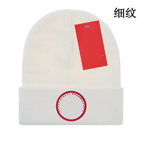 

new design designer knitted hat ins popular canada winter hats classic letter goose print knitted caps luxury outdoor fashion beanies h22-7., Blue;gray