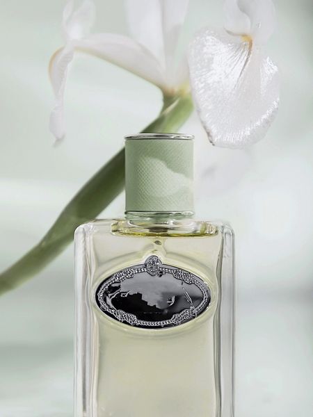 

2023 luxuries designer les cologne perfume infusion for brand women lady girls 100ml parfum spray charming fragrance