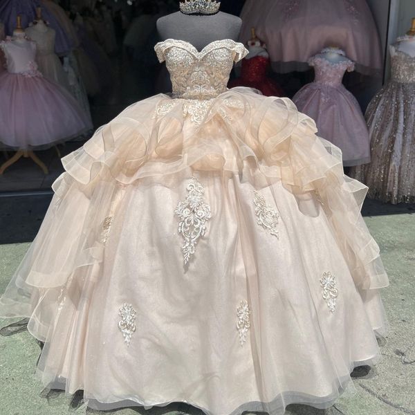 

light champagne shiny vestido de 15 anos quinceanera dress 2023 floral applique girls pageant dress backless sweet 16 prom gowns, Blue;red