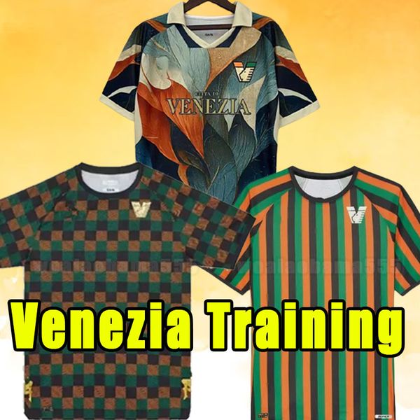 

23 24 venezia soccer jerseys henry gold aramu vacca jr tessmann venice maglia 2023 2024 busio johnsen cuisance football shirts men training, Black;yellow