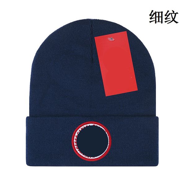 

designer knitted hat ins popular canada winter hats classic letter goose print knitted caps luxury outdoor beanies h6-7.29, Blue;gray