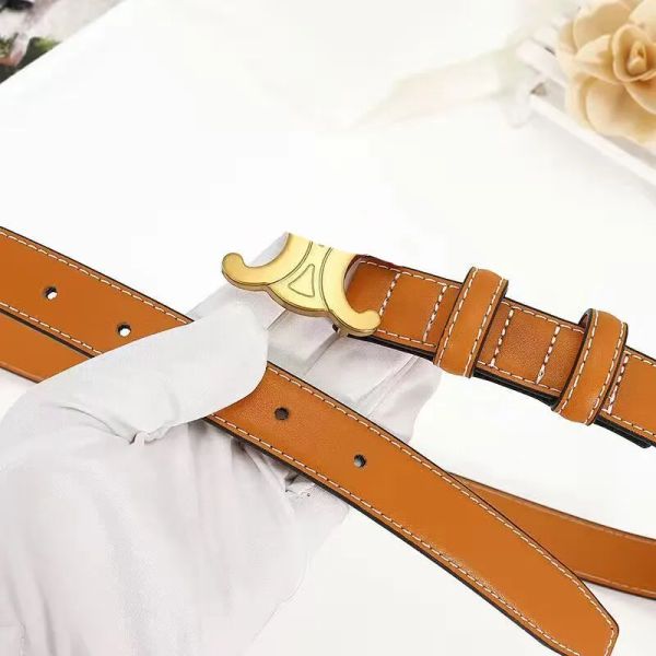 

designers belts straight net red arc de triomphe womens fashion simple pants belt 90-115cm high-quality belt g2307318bf, Black;brown