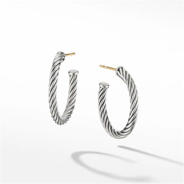 

cable hoop earrings women's party earrings, Golden;silver
