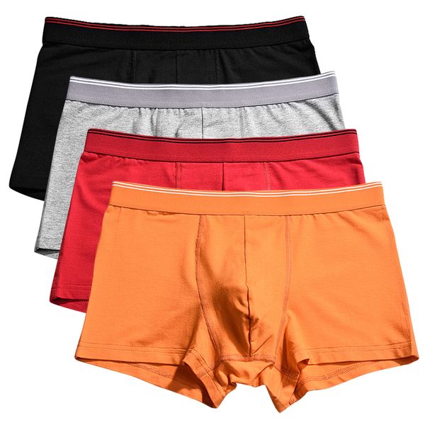 

underpants men's underwear shorts boxing men's underwear boxing hombres orange breathable boxing head knickers u814 230404, Black;white