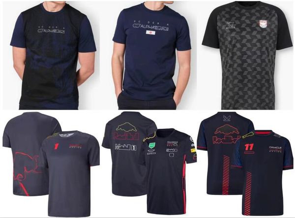 

2023 new f1 racing polo suit summer team short-sleeved t-shirt with custom