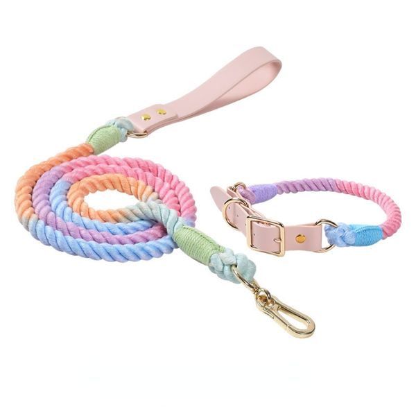 

Colorblock Dog Leash Collar Set No-Pull Adjustable Pet Collar Walking Training Puppy Leash for  Medium Dogs Cats Multicolor