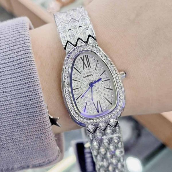 

noble light luxury style diamond watch0, Slivery;brown