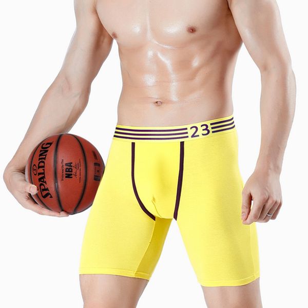 

underpants 2 packs of men's cotton underwear sprots long leg mid waist underwear men's coat cotton boxershorts underwear trunk und, Black;white