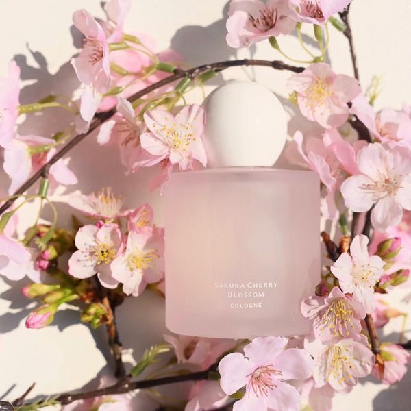

perfume sakura cherry blossom cologne 100ml flower floral long time last lady body mist fast ship gift