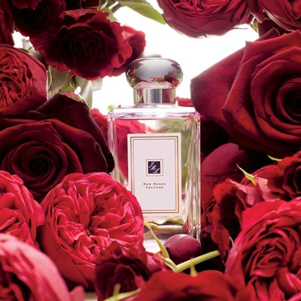 

luxuries designer men perfume women fragrance malone london red roses 100ml incense original long lasting body spray men's cologne sell