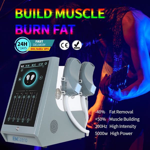

dlsemslim body sculpting slimming machine ems electromagnetic muscle stimulation emszero fat burning machine for body shaping