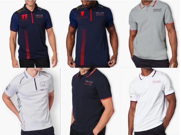 

f1 racing t-shirt 2023 summer new team polo shirt with custom