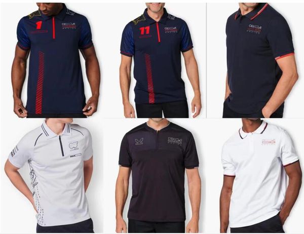 

summer f1 polo shirt 2023 new team lapel t-shirt, the same custom