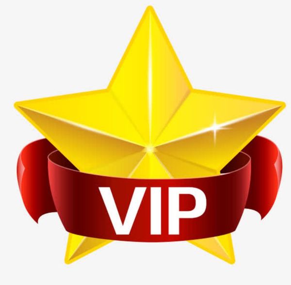 

vip customer payment link toy welcome to the store browse selling products