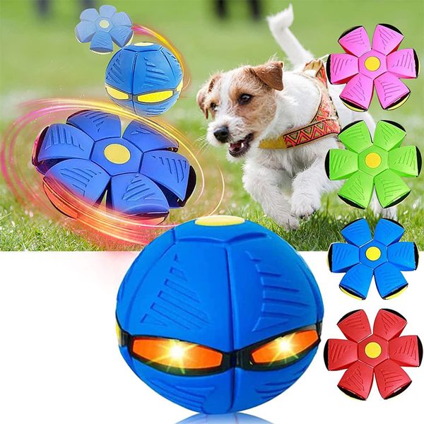 

pet toy flying saucer ball magic ufo sphere dog stepping on the sphere glowing transforming decompression parent-child interaction flying ba