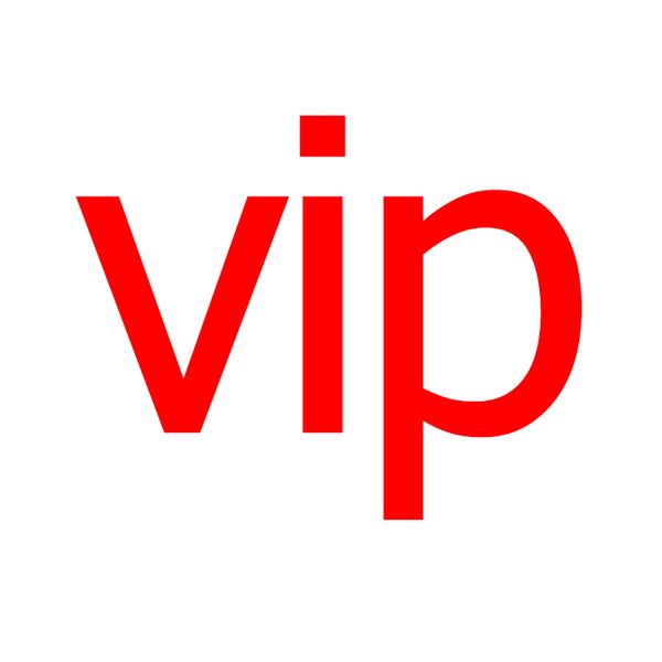 

designer vip custom-made women bag shoes, Black