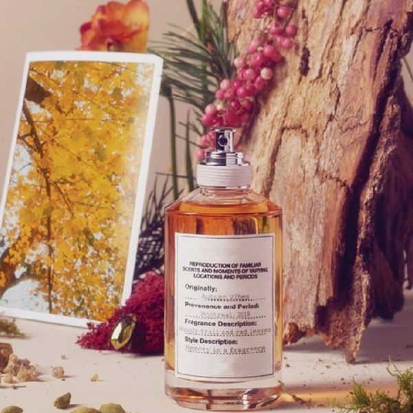 

maison brand perfume lazy autumn vibes 100ml eau de toilette 12 scents body spray fast shipping