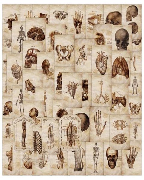 

55 pcs creative anatomy and physiology stickers the human skeleton graffiti stickers for diy luggage lapbicycle5807334