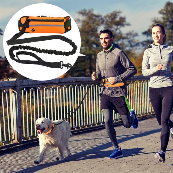 

hands dog leash leashes with zipper pouch portable waist bag dual handle reflective retractable bungee traction rope for pet walking jogging