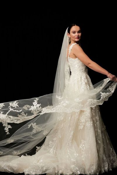 

david bride cathedral veil sequin lace inlaid ivory, Black