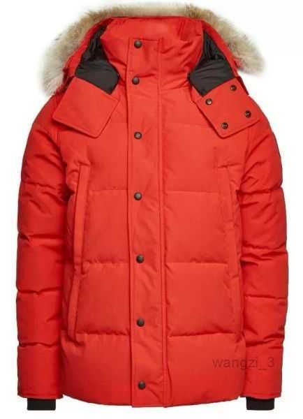 

down & parkas designers winter fur parka goode goose coats jackets homme jassen puffer canada with badge 3 74n1, Black