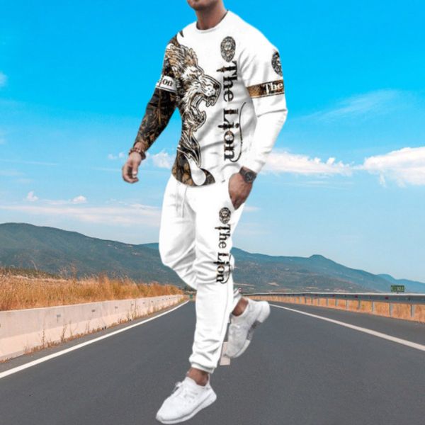 

men's tracksuits casual lion tracksuits men's clothing sports suit streetwearlong sleeve t-shirt sportswear 3d print sweatpants ma, Gray