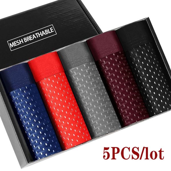 

underpants 5pcslot mesh hole mens underwear boxers men for shorts pantis 230420, Black;white