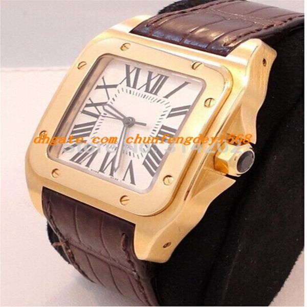 

factory supplier luxury watches wristwatch sapphire 2657 w20071y1 100 automatic mens men's watch watches251j, Slivery;brown