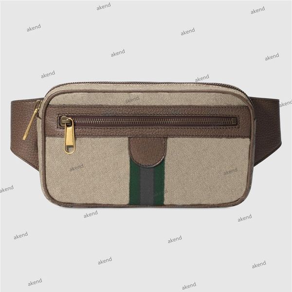 

belt bags waist bag mens women ophidia bumbag backpack tote luxury designer sports hobo crossbody purses messenger men handbag fas290q