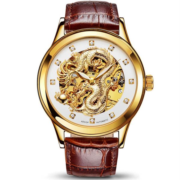 

aesop dragon watch men luxury gold automatic mechanical watch sapphire golden men's wristwatch male clock men relogio masculi306j, Slivery;brown