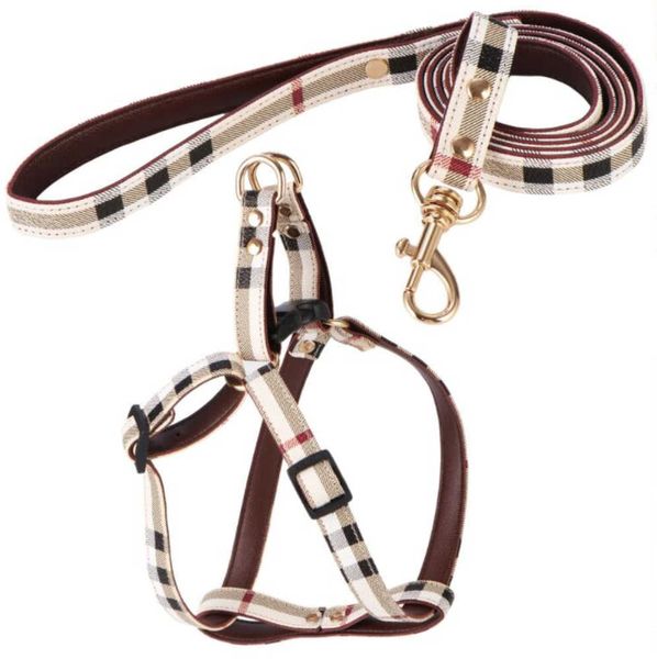 

accessories dog harness collars leashes sets letter pet cat small medium large fighting schnauzer bulldog teddy motion current 60ess, Silver