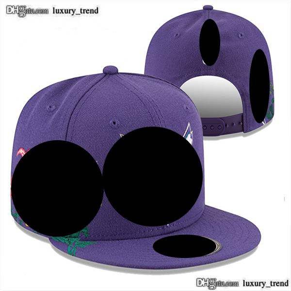 

ball caps 2023-24 charlotte''hornets''fashion cotton baseball cap snapback hat for men women sun hat bone gorras embroid, Blue;gray