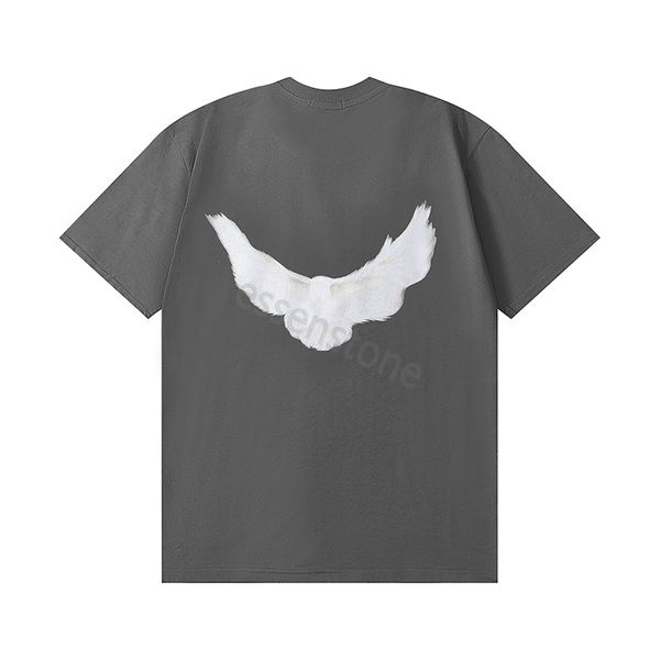 

men's women t shirt with chest letters and dove pattern on the back tees fashion high street trendy casual wear men's gapp short s, White;black