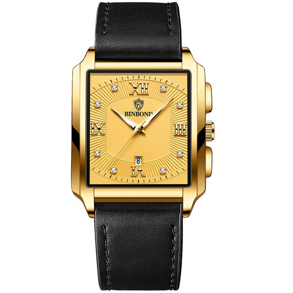 

men's automatic mechanical watch stainless steel glider buckle square roman numerals watch swimming watch sapphire luminous watch, Slivery;brown