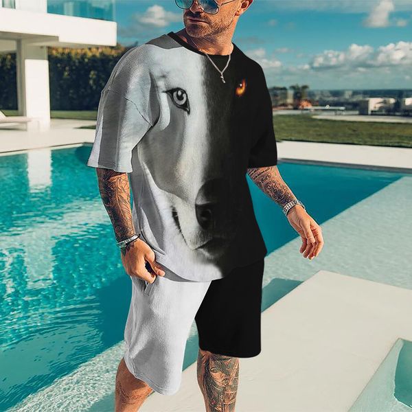 

men's tracksuits 3d printed men's t-shirt suit summer fashion casual shorts black and white animal element pattern street wear two, Gray