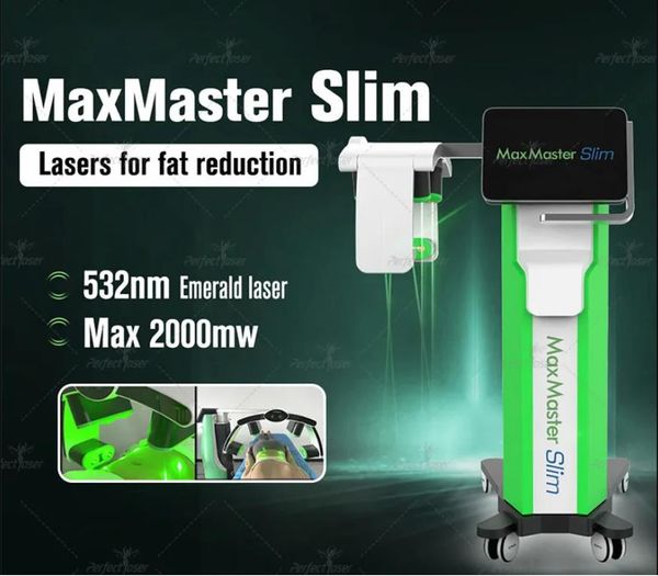 

Super Emerald Laser Device Eliminate Excess Fat Abdomen Waist Max 2000mw Zero Pain Surgery Reduce Visceral Fat Removal 2 years Warranty Diode Laser Slimming Machine