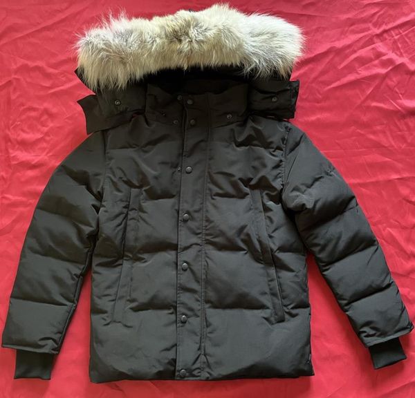 

winter men down jacket puffer jacket homme outdoor jassen outerwear real coyote fur warm hooded windproof waterproof padded thicken, Black