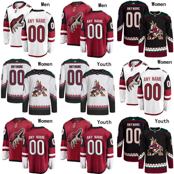 

arizona hockey coyotes jerseys 70 karel vejmelka 14 shayne gostisbehere 12 nick ritchie 17 nick bjugstad 19 troy terry 90 j.j. moser 9 clayt, Black;red