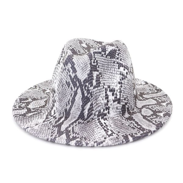 

snake print jazz cowboy hat for women men autumn winter fashion wool wide brim cap bowler fedora hats, Blue;gray