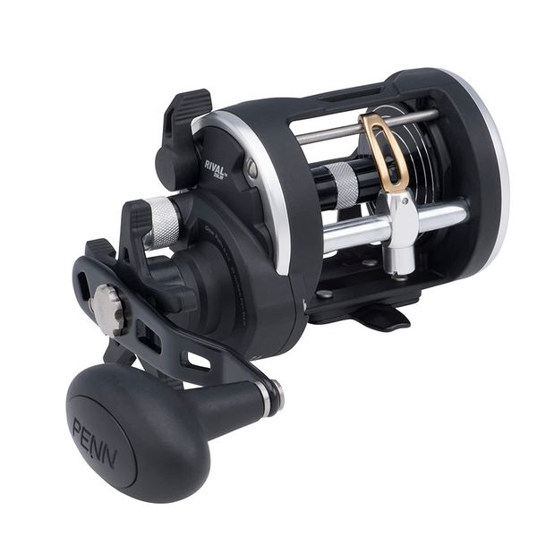 

penn rival level wind conventional boat fishing reel size 20