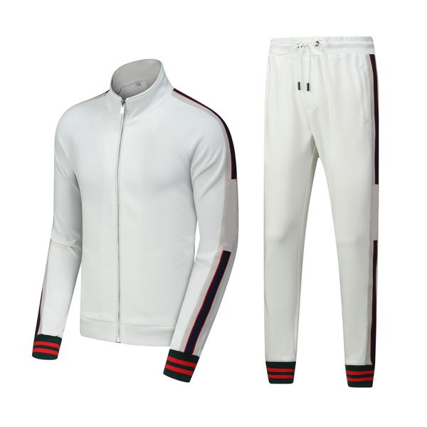 

europe designer mens tracksuits womens sport suit zipper classical letter print tracksuit sleeve red green striped sportsuit streetwear spor, Gray
