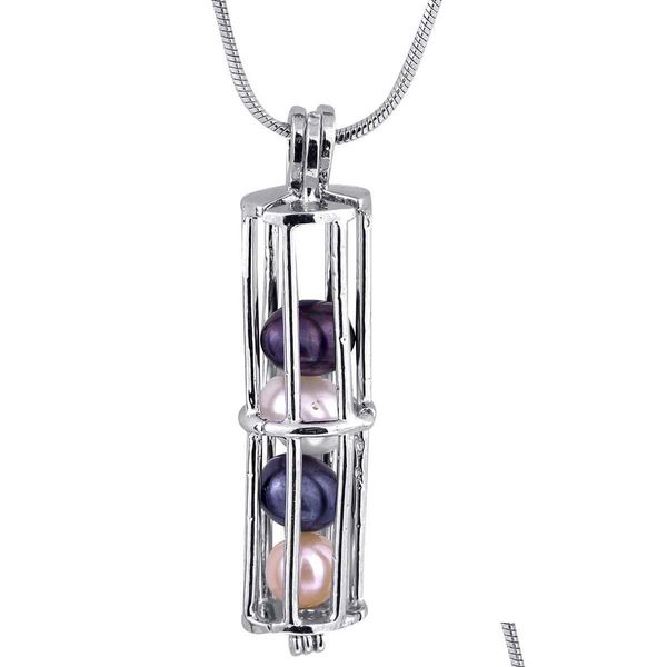 

pendant necklaces long cage cylinder pearl plated sliver accessories necklace hollow out locket wish charming p10 drop delivery jewe dh7re, Silver