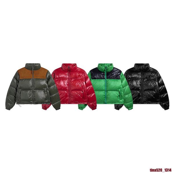 

2023 outfits parkas coats the face down jackets veste mens womens homme winter puffer tnf 1996s north parkas, Blue