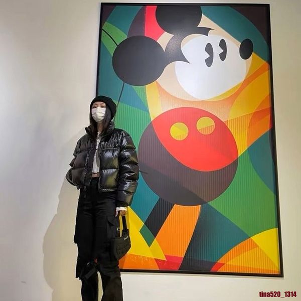 

winter women's down coats outfits the face jacket cotton padded north jackets lengthened knee length korean version slim fitting tnf 19, Blue