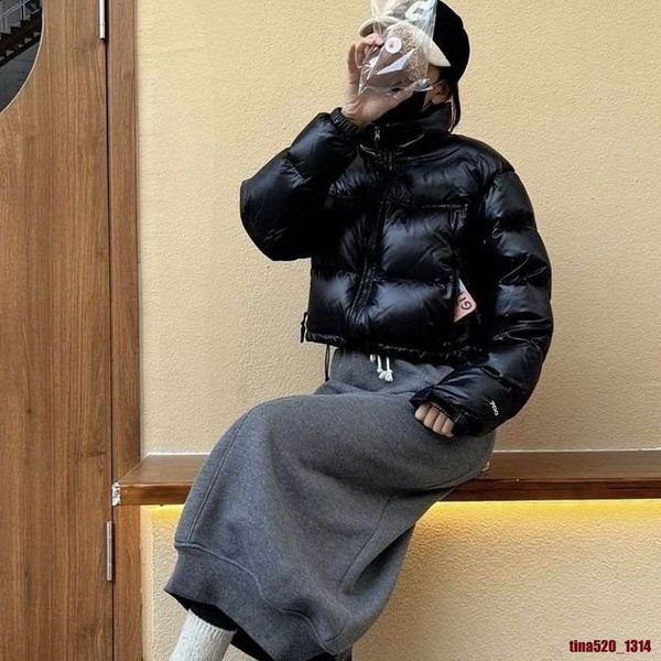 

parkas coats mens womens down jackets veste outfits homme winter puffer hoody apparel fourrure letters printed down jacket winter 1996s, Blue