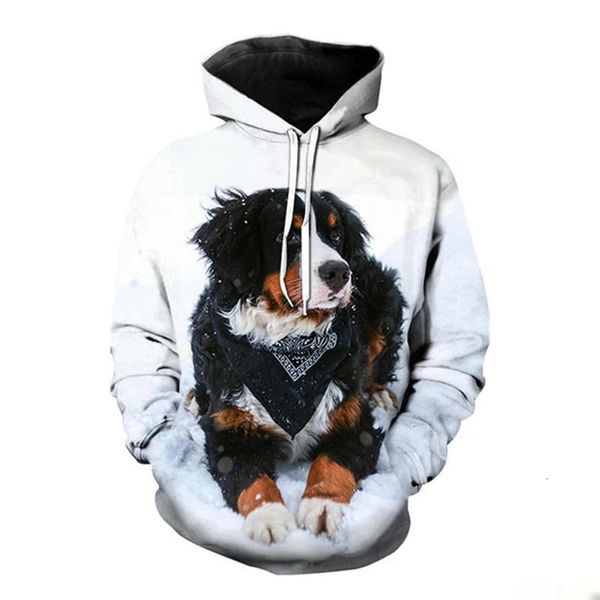 

men's hoodies sweatshirts bern mountain dog 3d printing casual cute pullover animal sports shirt and women's harajuku jacket 2302, Black